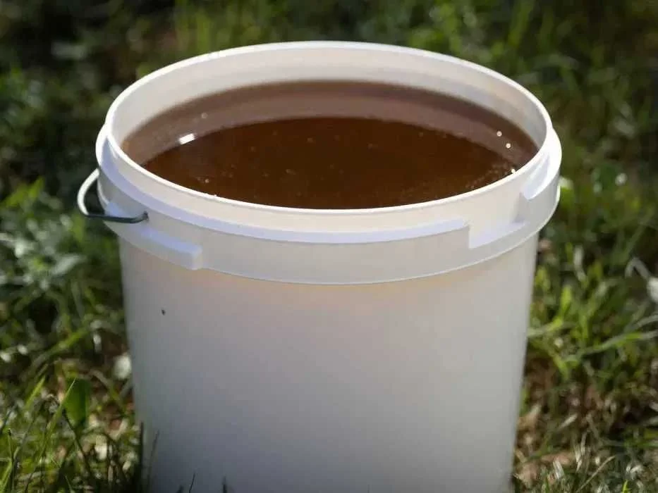 Naturalny MIÓD WIELOKWIATOWY Polski !Z Własnej PASIEKI - Wiadra miod