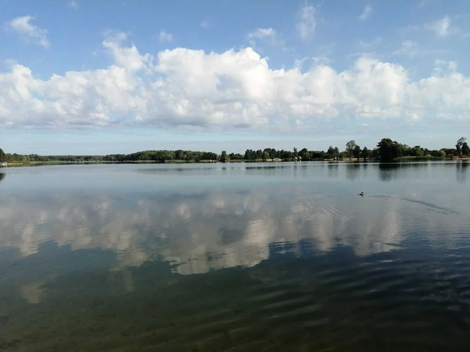 Pokoje noclegi z klimatyzacją, łazienką, Wi-fi,, cateringiem dla firm Białe k. Gostynina, Płocka, faktura VAT – zdjęcie 10
