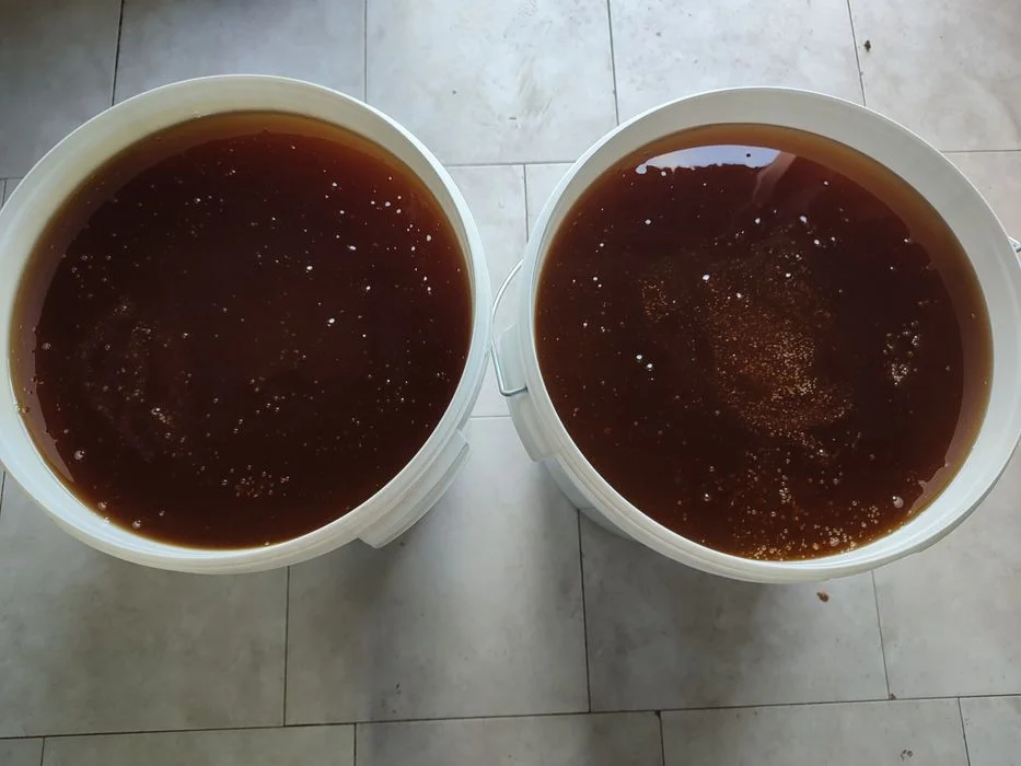 Miód faceli Lipa 18zł 1kg – zdjęcie 2