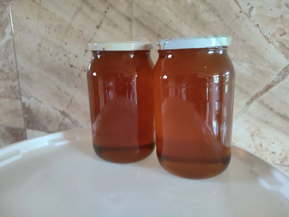 Miód faceli Lipa 18zł 1kg – zdjęcie 3