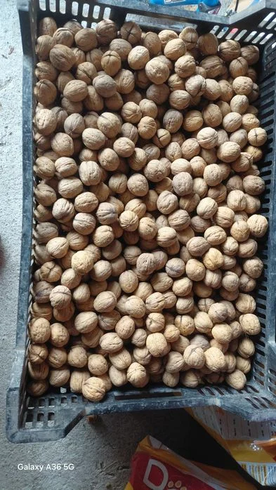 Oddam za dobrom kawę w ziarkach 1kg – zdjęcie 2