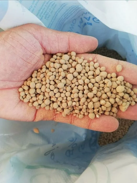 PRODUCENT: Wysokoprocentowe Wapno Kredowe granulowane 98% Czarna kreda Siarczan Magnezu Wapno z Magnezem – zdjęcie 6
