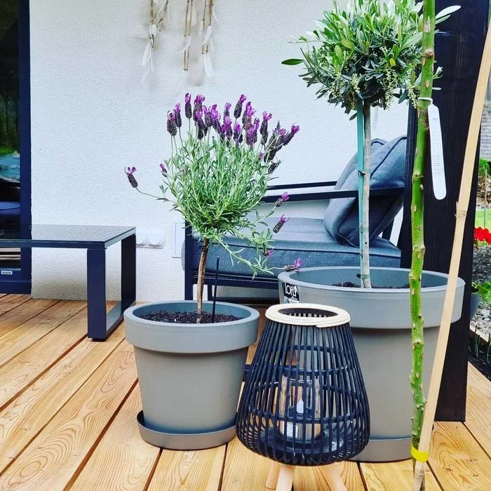 Domki z jacuzzi i kominkiem Ochotnica Dolna – zdjęcie 3