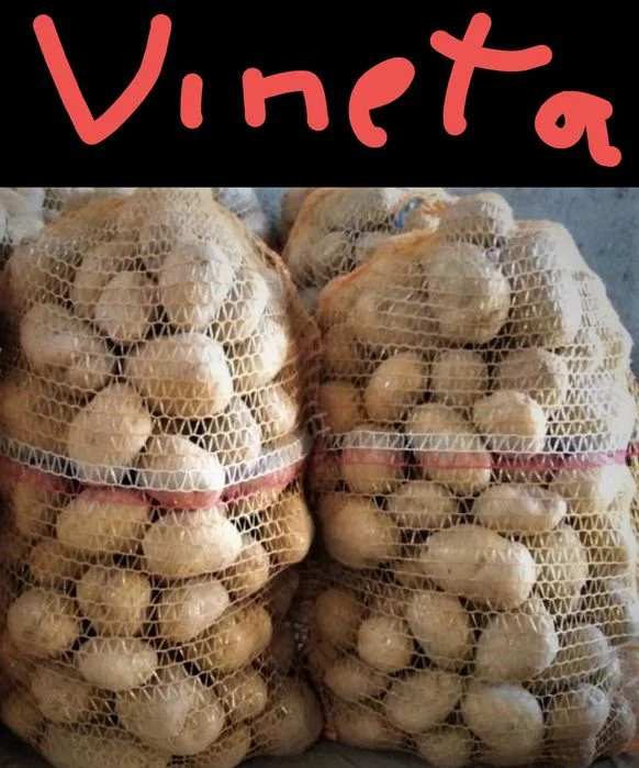 Ziemniaki Vineta żółte ekologiczne