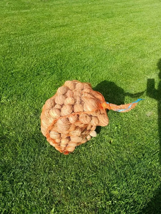 Sprzedam ziemniaki