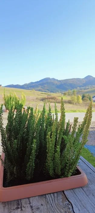 Nowy domek w górach z widokiem na Tatry i Pieniny. Cicha okolica – zdjęcie 2