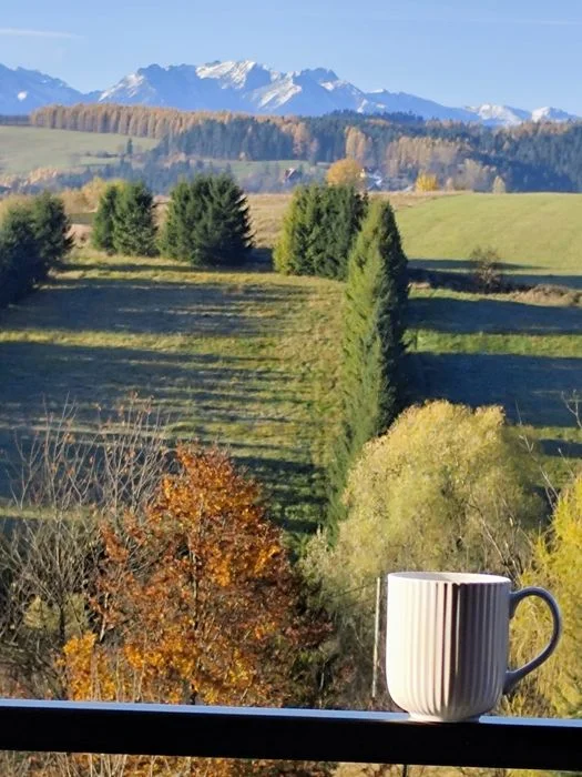 Nowy domek w górach z widokiem na Tatry i Pieniny. Cicha okolica – zdjęcie 4