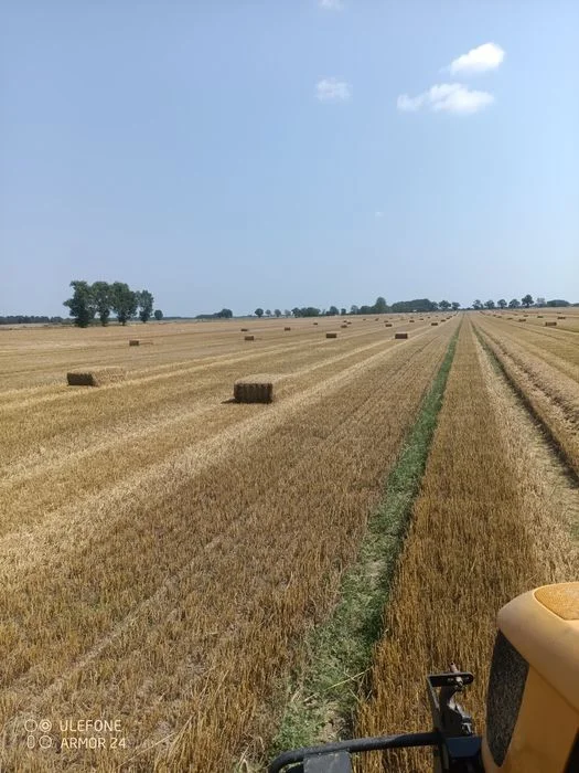 Słoma w dużej kostce