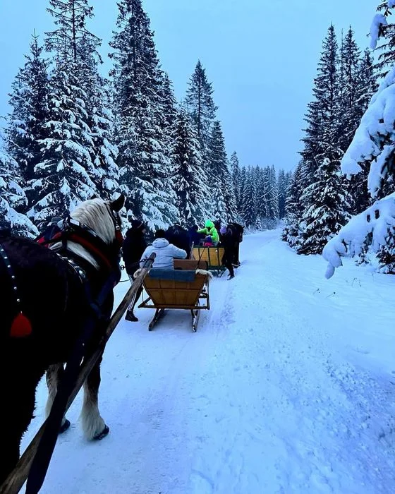 DOM dla 10 osob z jacuzzi pod Babią Górą, SYLWESTER, święta, ferie zimowe, beskid żywiecki, tatry, noclegi – zdjęcie 10
