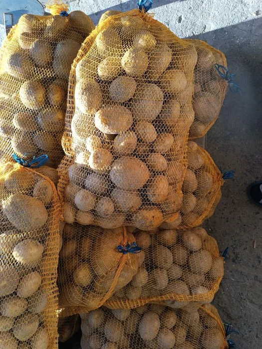 Ziemniaki Denar/Vineta/Soraja