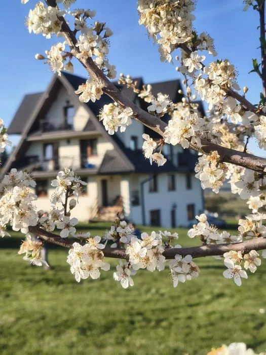 Noclegi, apartamenty w niskiej cenie - Białka Tatrzańska/Groń.