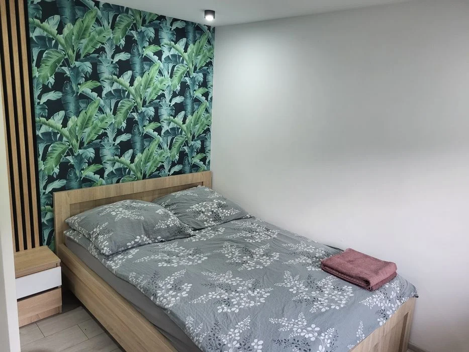 Dzis Wolnego Noclegi Energylandia Apartamenty domki – zdjęcie 3