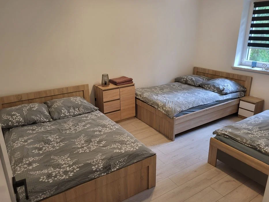 Dzis Wolnego Noclegi Energylandia Apartamenty domki – zdjęcie 5