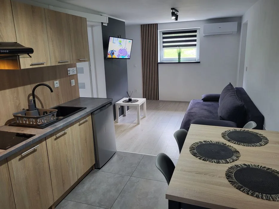 Dzis Wolnego Noclegi Energylandia Apartamenty domki – zdjęcie 4