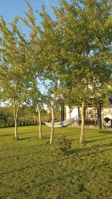 Domek nad jeziorem z basenem, jacuzzi – zdjęcie 5