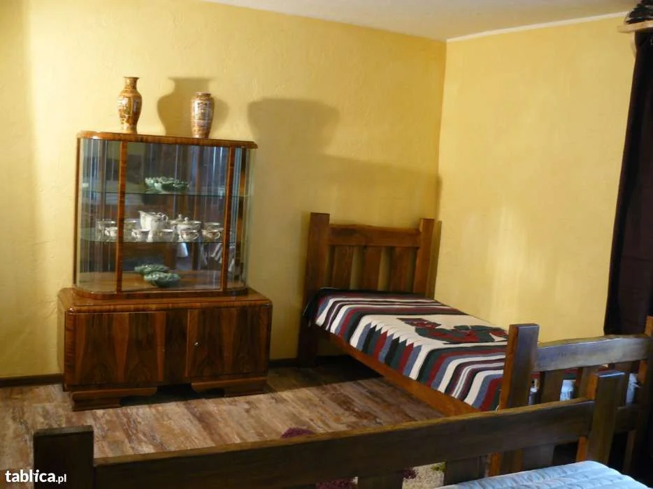 Domek nad jeziorem Bory Tucholskie, wakacje, weekend, jacuzzi, jezioro, las, basen,grzyby. – zdjęcie 9