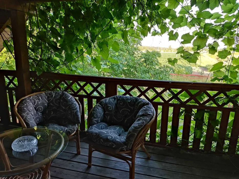Agroturystyka Dowspuda Suwalszczyzna apartament -piętro domek 4-5os kajaki, plaża – zdjęcie 4