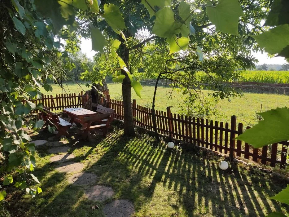 Agroturystyka Dowspuda Suwalszczyzna apartament -piętro domek 4-5os kajaki, plaża – zdjęcie 10