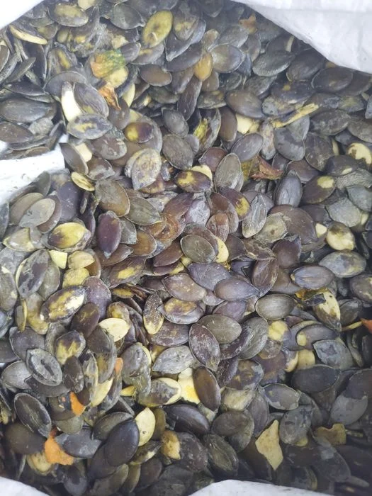 Pestki dyni bezłuskowej 2kg
Zapraszam serdecznie!
