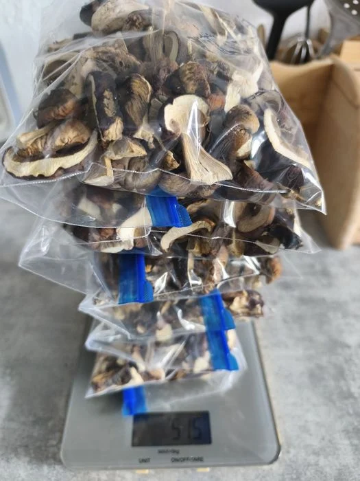 Prawdziwki suszone 500gram – zdjęcie 2
