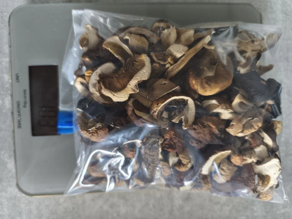 Prawdziwki suszone 500gram – zdjęcie 5