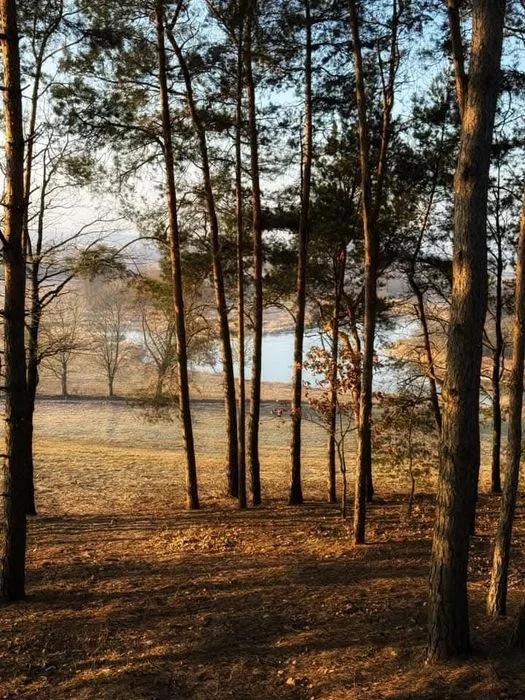 Domek z jacuzzi nad wodą Wschód&Zachód – zdjęcie 7