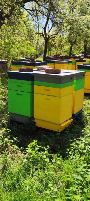 Ul ule wielkopolski styrodurowy XPS 700 dadant warszawski pszczoły – zdjęcie 8
