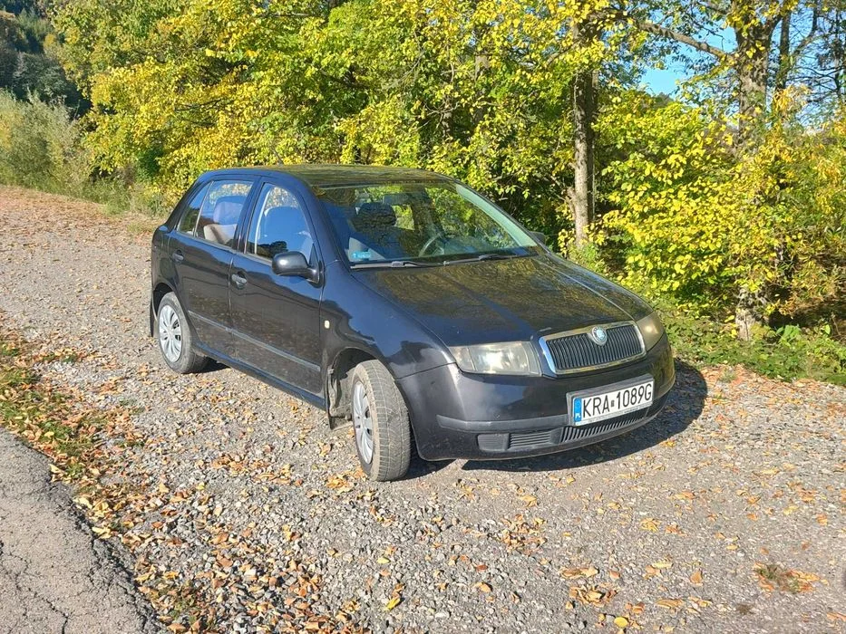 Skoda Fabia 1.2 benzyna ekonomiczna