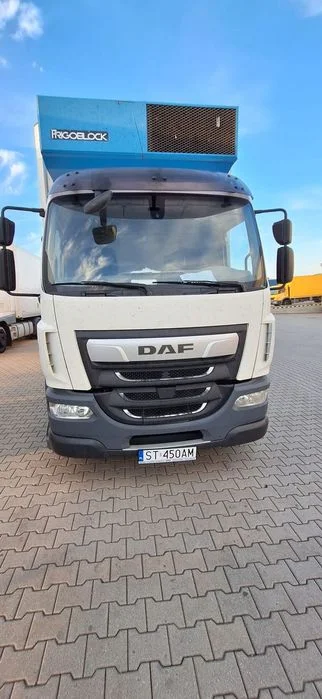 DAF LF 290 FA DAF LF290 2019r Automat CHŁODNIA 18Palet Winda Cesja Leasingu/Wynajem