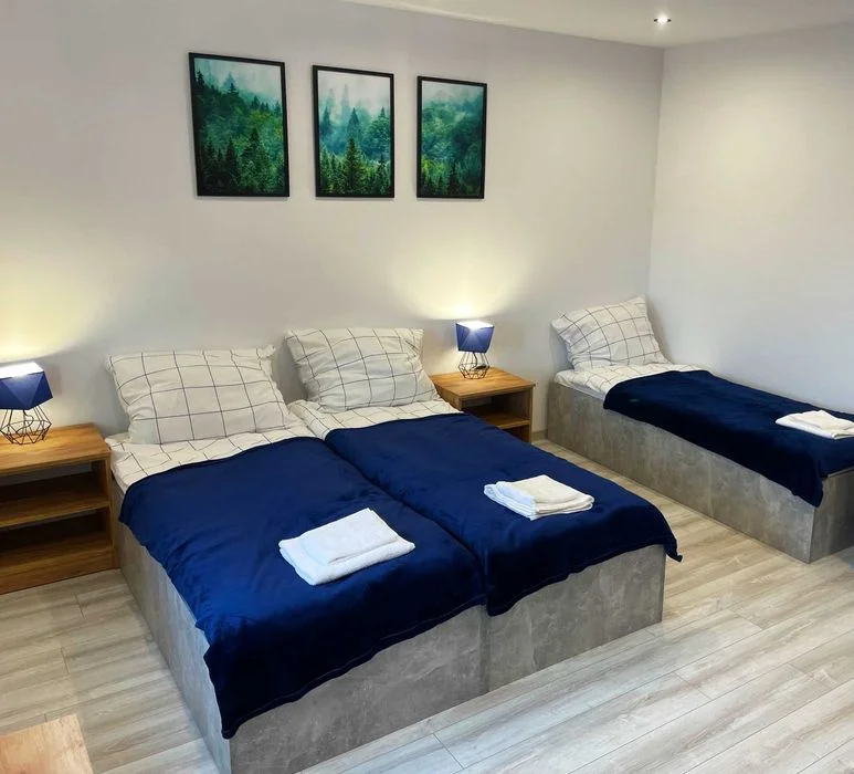 Nowoczesny dom 160m2 - 11 osób, balia, sauna, altana – zdjęcie 11