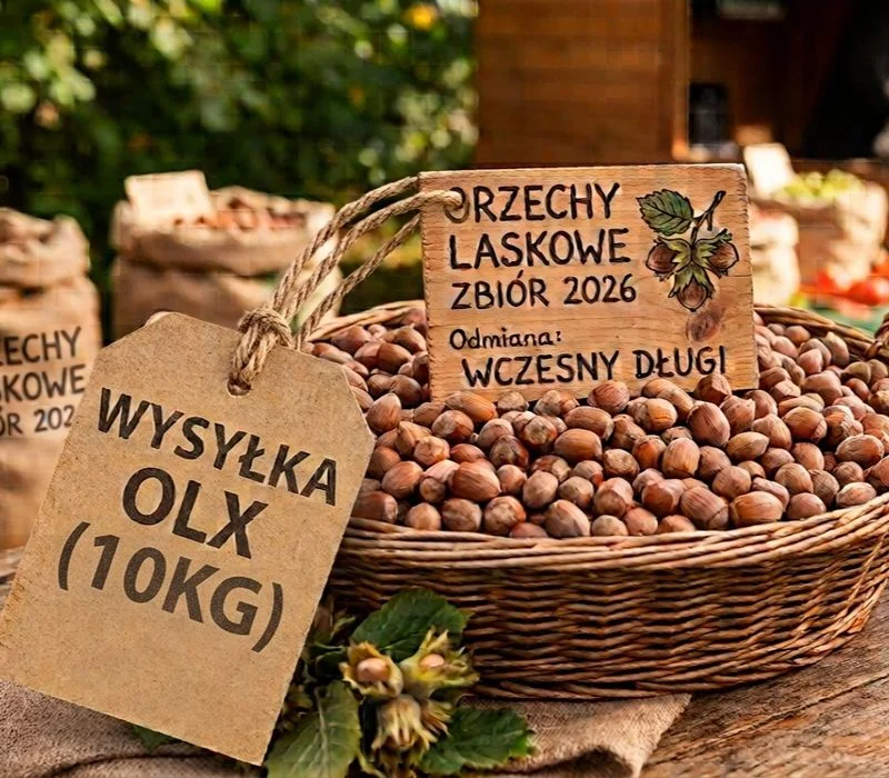 Orzechy laskowe 2026 10kg wysyłka gratis