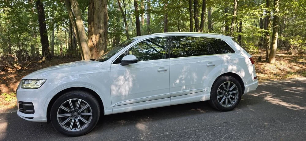 Zadbane Q7 7miesc – zdjęcie 3