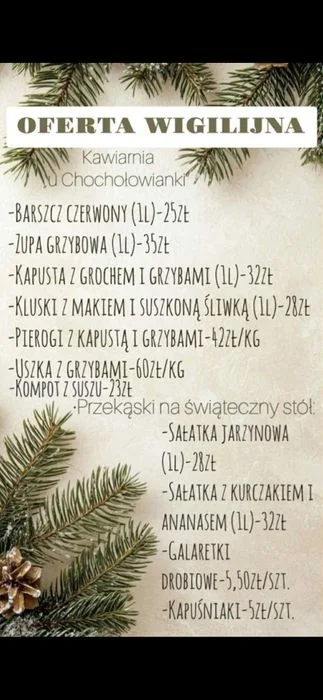 Luksusowe domki Elizy – zdjęcie 12