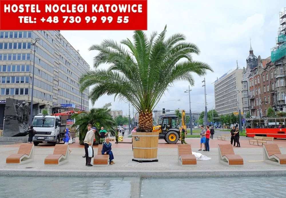 Kawalerki i mieszkania dwupokojowe do wynajęcia w Będzinie – oferta promocyjna – zdjęcie 5