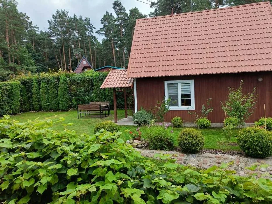 Domek nad samym jeziorem, Mazury.. Październik, Listopad. – zdjęcie 4