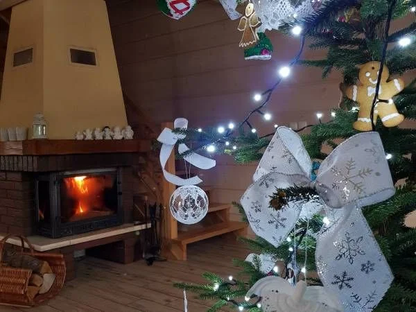 Domek z widokiem na góry, noclegi w górach, domki letniskowe – zdjęcie 8