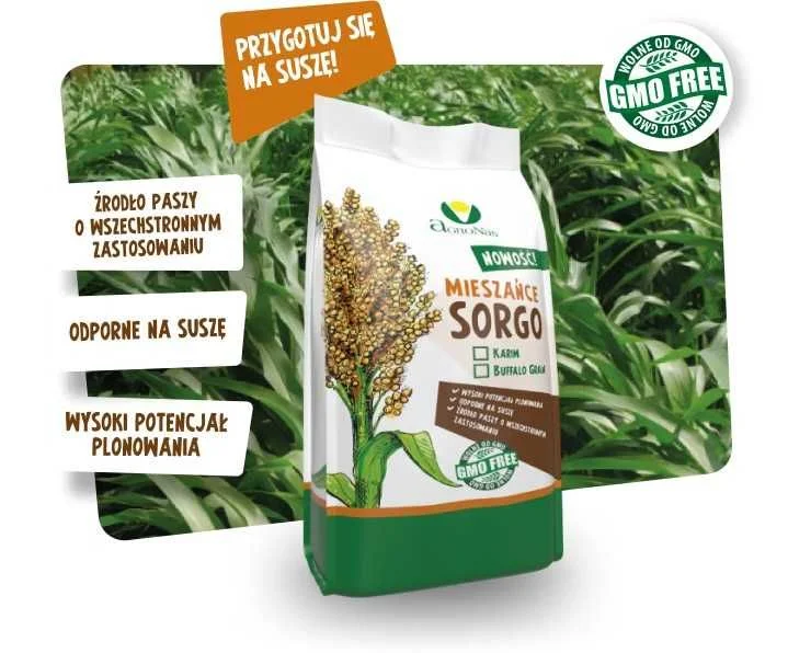Mieszaniec Sorgo i trawy sudańskiej, KARIM, sorgo kiszonkarskie