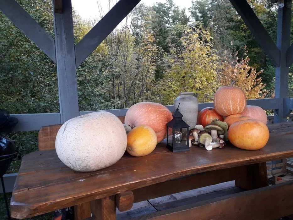 Dynia dynie Halloween – zdjęcie 2