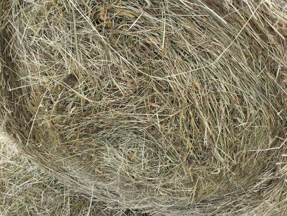 Sprzedam bale z siana