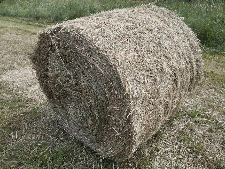 Sprzedam bale z siana – zdjęcie 2