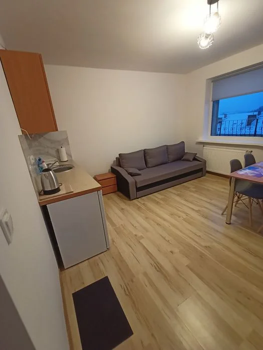 Apartamenty i pokoje u Marka , Kudowa Zdrój – zdjęcie 5