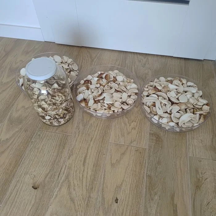 Prawdziwki suszone – zdjęcie 4