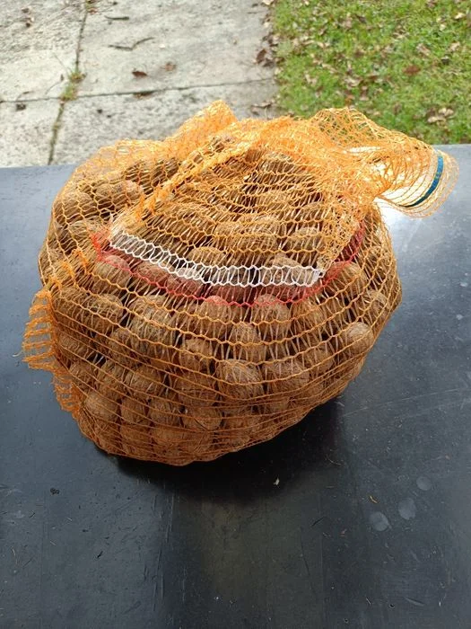 Orzechy włoskie 5 kg rezerwacja – zdjęcie 2