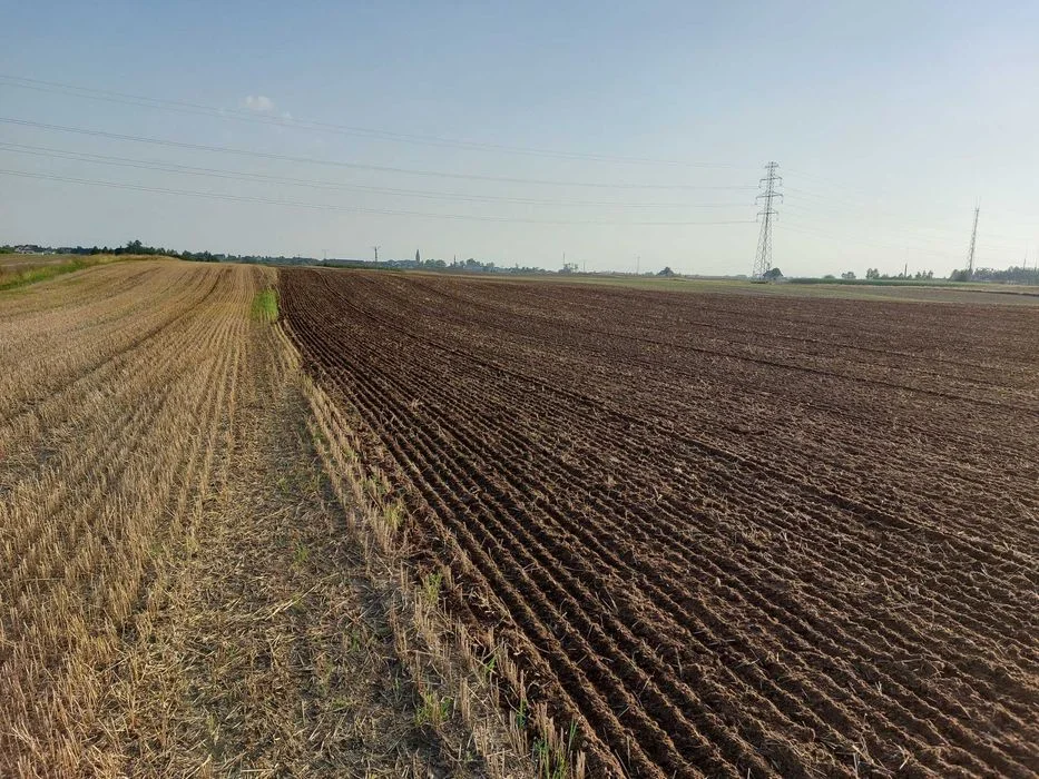 Agregat Bezorkowy Ścierniskowy Podorywkowy Gruber Dłutowy ZOBACZ FILM – zdjęcie 5