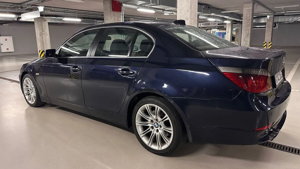 BMW Seria 5 530d 218hp, Żeliwny blok, Navi Professional, CupHolder, Sprowadzo – zdjęcie 5