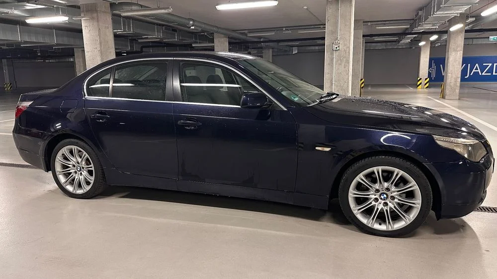BMW Seria 5 530d 218hp, Żeliwny blok, Navi Professional, CupHolder, Sprowadzo – zdjęcie 6
