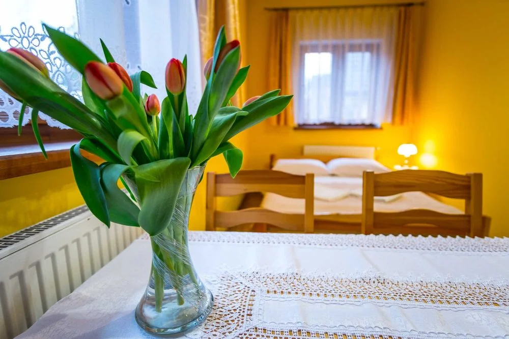 Pokoje i Apartamenty Jan w centrum Zakopanego - noclegi Zakopane – zdjęcie 3
