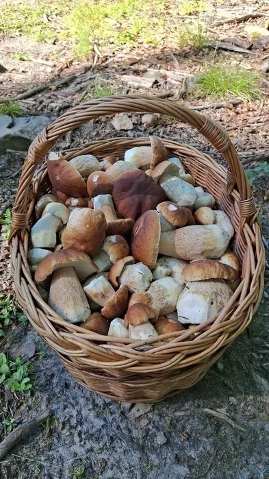 Domek Dom w Górach do Wynajęcia Jacuzzi Basen Sauna na wyłączność Sylwester Święta Bożego Narodzenia Weekendy – zdjęcie 10