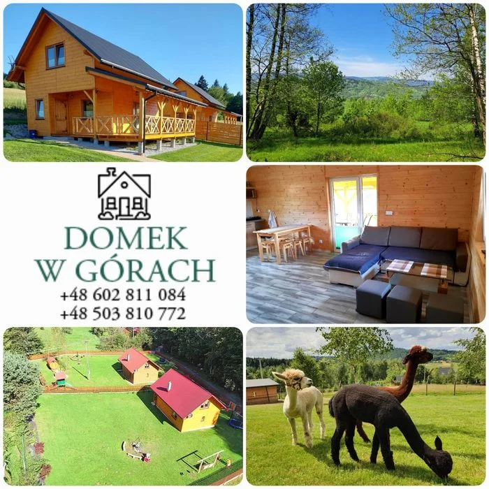 Domek Dom w Górach do Wynajęcia Jacuzzi Basen Sauna na wyłączność Sylwester Święta Bożego Narodzenia Weekendy – zdjęcie 8