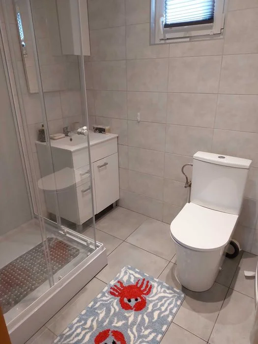Domek całoroczny do wynajęcia Bory Tucholskie – zdjęcie 12